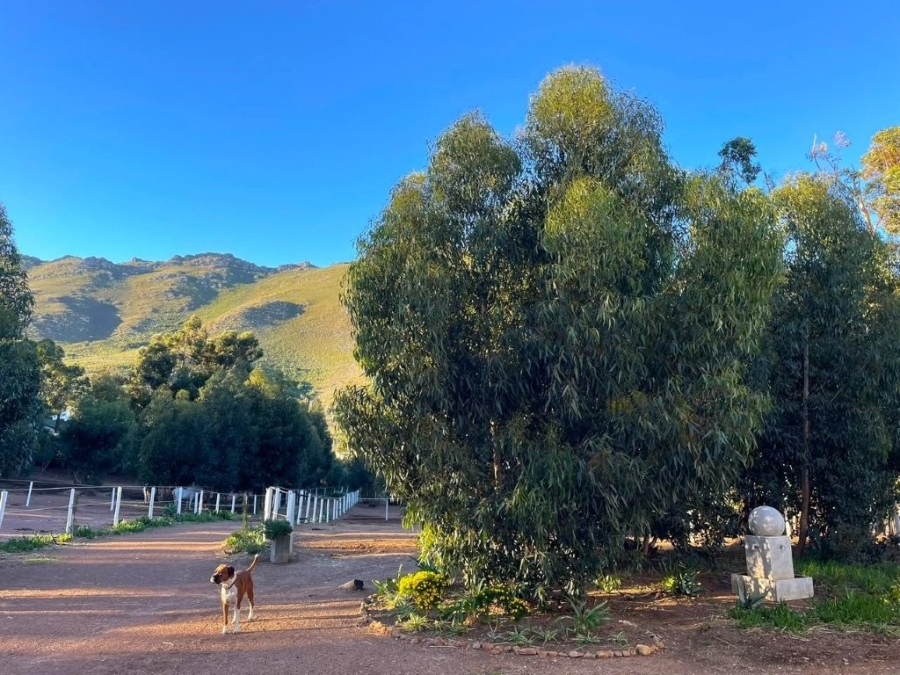 3 Bedroom Property for Sale in Firlands Western Cape